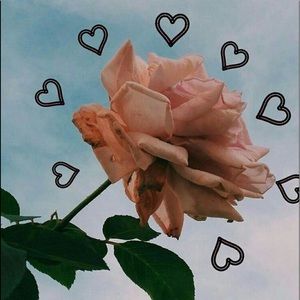 Meet your Posher, Kenia